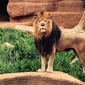 Meet your Posher, Sabil